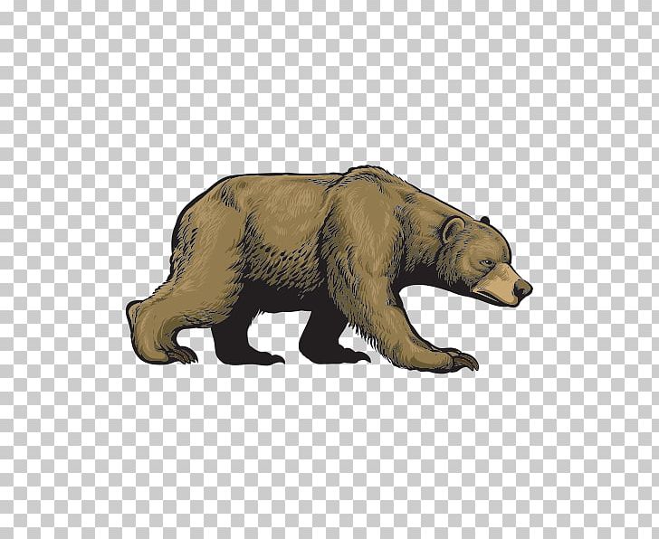 Grizzly Bear Cub Alaska Peninsula Brown Bear Wildlife PNG, Clipart, Animal, Animals, Arctic Fox, Bear, Brown Bear Free PNG Download