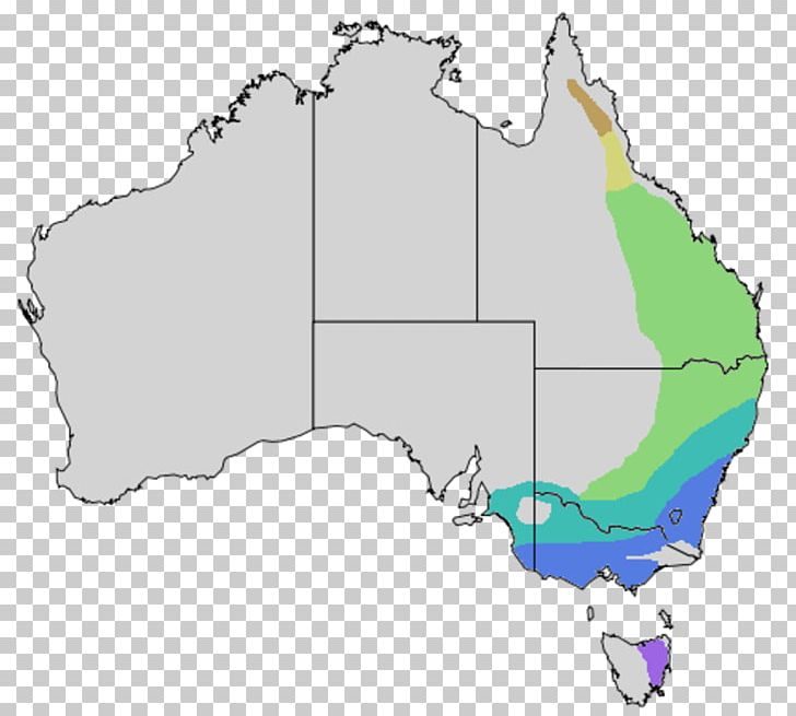 Australia Noisy Miner Distribution Bell Miner Map PNG, Clipart, Area, Australia, Company, Distribution, Ecoregion Free PNG Download