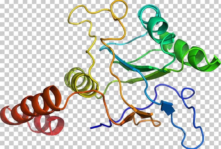 Body Jewellery Organism Line PNG, Clipart, Area, Art, Body Jewellery, Body Jewelry, Groel Free PNG Download