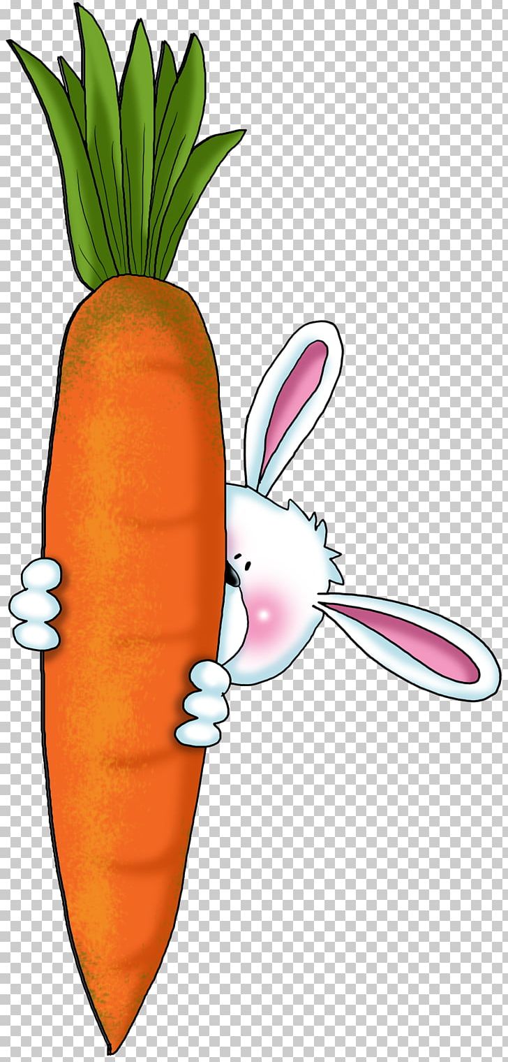 Carrot Cake Vegetable Rabbit Drawing PNG, Clipart, Apiaceae, Arracacia Xanthorrhiza, Bun, Carrot, Carrot Cake Free PNG Download