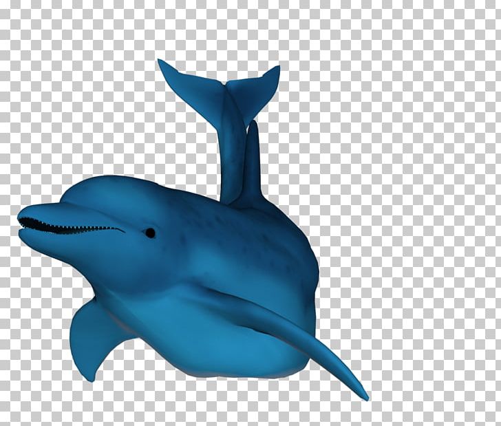 Dolphin Cetacea Symbol PNG, Clipart, Animals, Blue Whale, Cetacea, Cobalt Blue, Dolphin Browser Free PNG Download