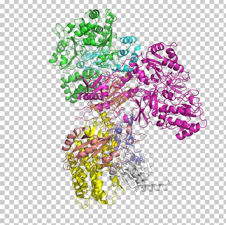 NADH:ubiquinone Oxidoreductase Nicotinamide Adenine Dinucleotide Succinate Dehydrogenase Protein Subunit PNG, Clipart, Art, Citric Acid Cycle, Enzyme, Flower, Grape Free PNG Download