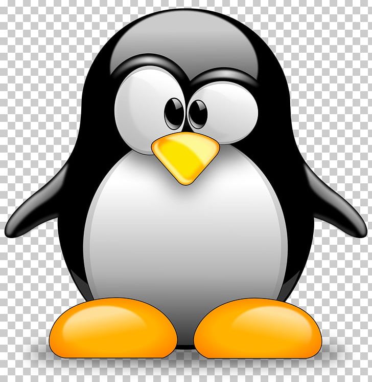 Tux Racer Penguin Linux PNG, Clipart, African Penguin, Animals, Beak, Bird, Download Free PNG Download