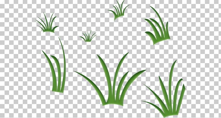 Glade Meadow Herbaceous Plant Tree Collage PNG, Clipart, Aquarium, Aquarium Decor, Arecales, Collage, Flower Free PNG Download