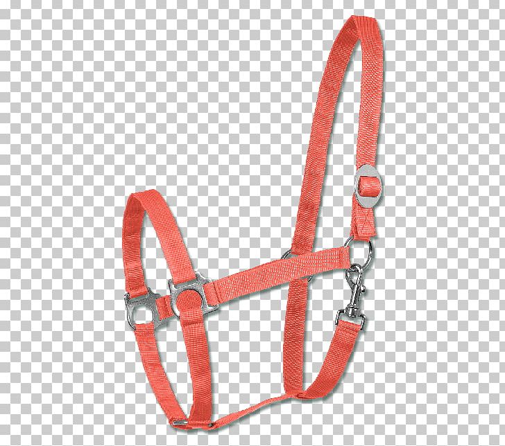 Horse Halter Rope Equestrian Sport PNG, Clipart, Animals, Climbing Harness, Equestrian, Equestrian Sport, Fashion Accessory Free PNG Download