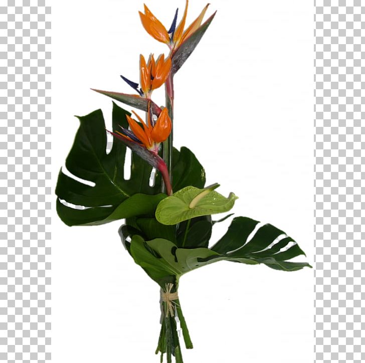 Flower Bouquet Bird Of Paradise Flower Cut Flowers PNG, Clipart, Animals, Anthurium, Bird, Bird Of Paradise Flower, Canna Family Free PNG Download