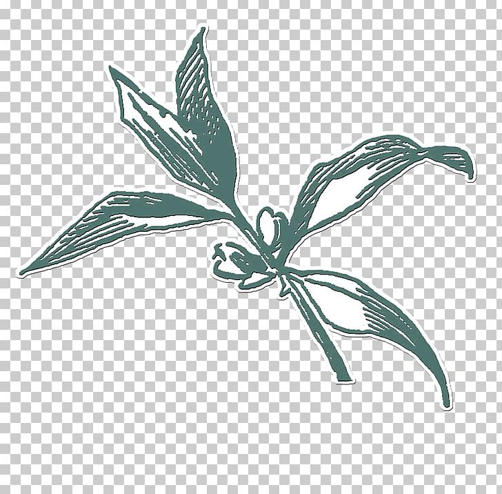 Flower Green Illustration PNG, Clipart, Branch, Chemical Element, Classic, Classic Effects, Creative Free PNG Download