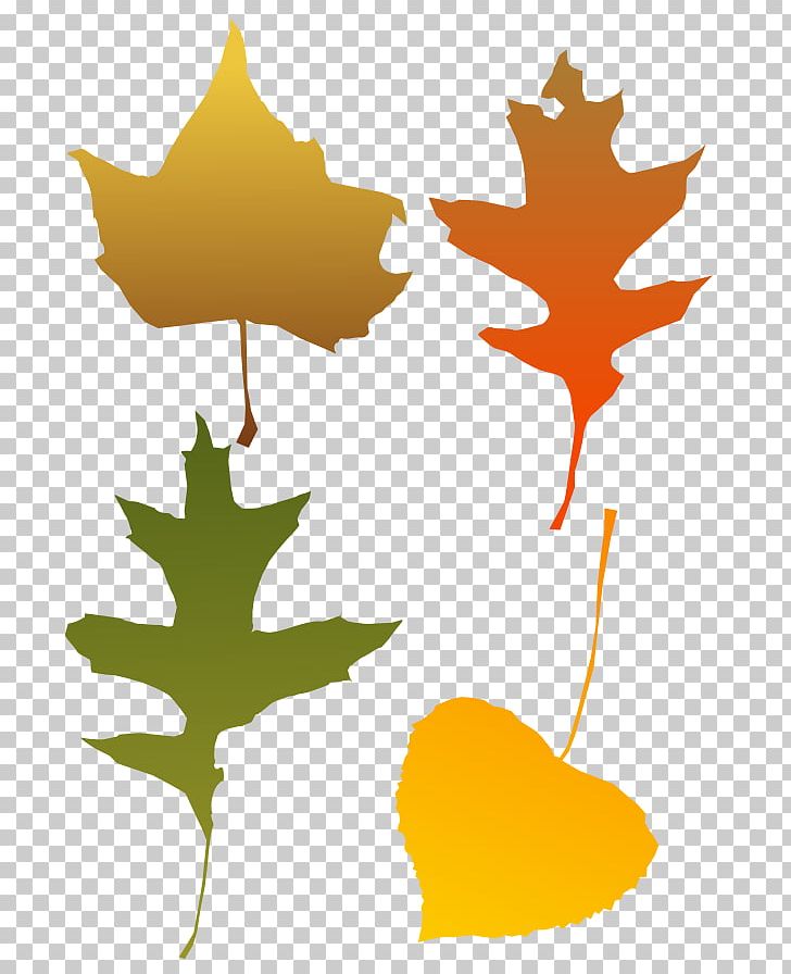 Autumn Leaf Color PNG, Clipart, Autumn, Autumn Leaf Color, Autumn Trees Clipart, Flowering Plant, Green Free PNG Download