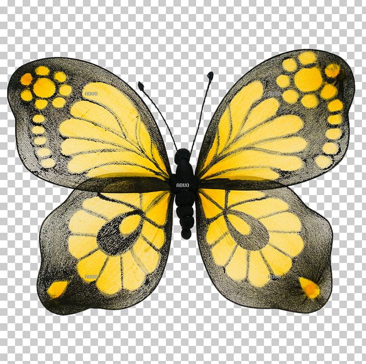 Bird Yellow Animal Butterflies And Moths Turquoise PNG, Clipart, Animal, Animals, Arthropod, Bird, Black Free PNG Download