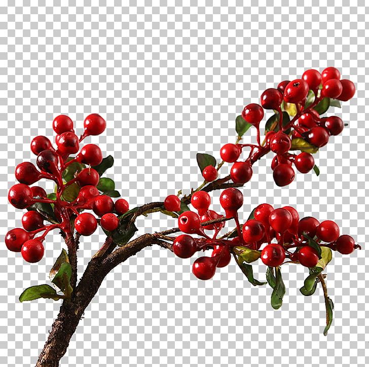 Tmall Artificial Flower Taobao PNG, Clipart, Auglis, Blueberry, Branch, Cherry, Christmas Decoration Free PNG Download