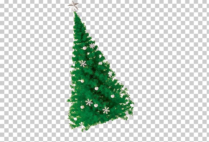 Christmas Tree Christmas Ornament PNG, Clipart, Christmas Border, Christmas Card, Christmas Decoration, Christmas Frame, Christmas Lights Free PNG Download