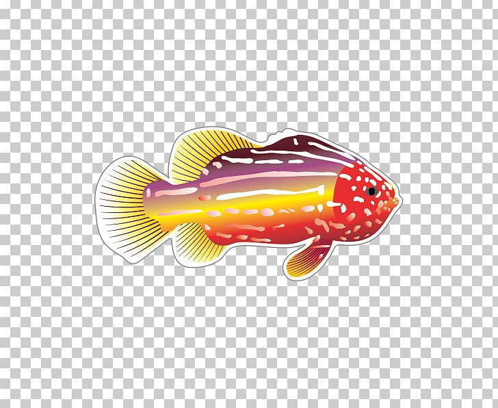 Fish Drawing PNG, Clipart, Animals, Bass, Deep Sea, Deep Sea Fish, Drawing Free PNG Download