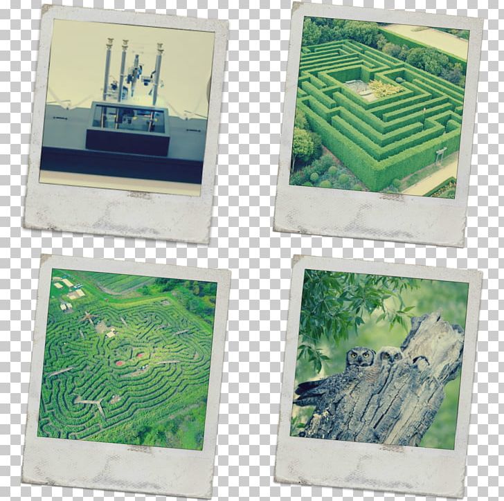 Garden Frames Lawn Maze PNG, Clipart, Garden, Grass, Green, Lawn, Maze Free PNG Download