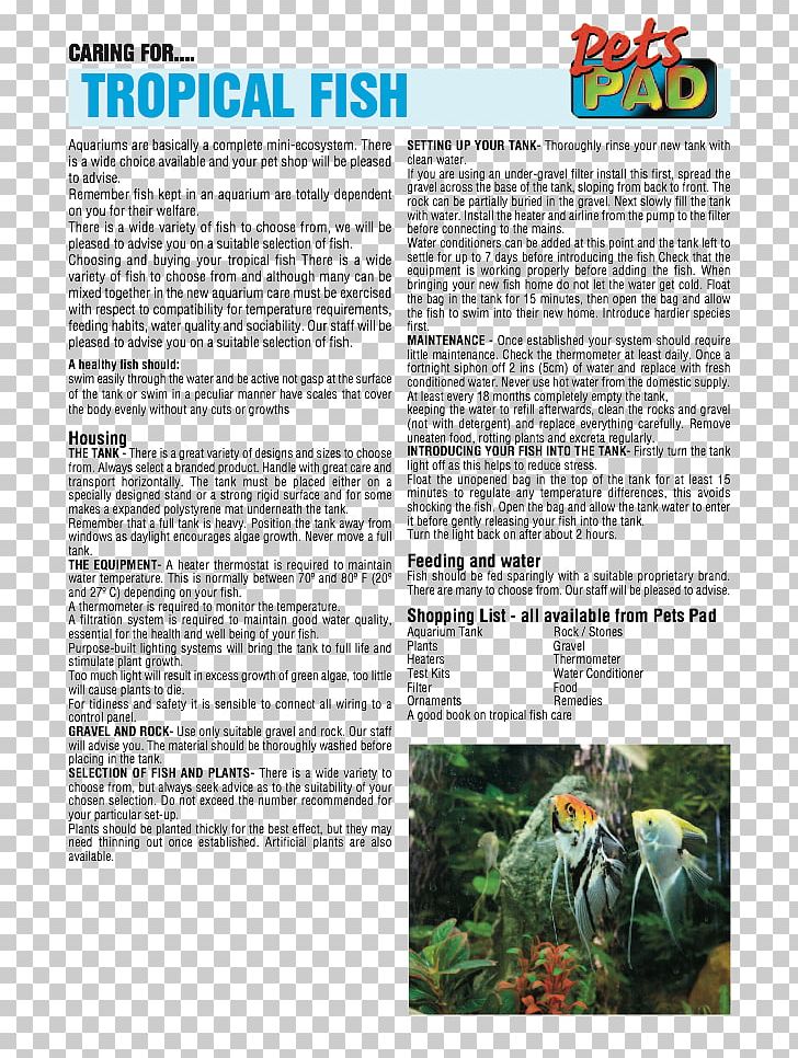 Golden Hamster Plant Community Tree Newspaper PNG, Clipart, Community, Golden Hamster, Grass, Hamster, Nature Free PNG Download