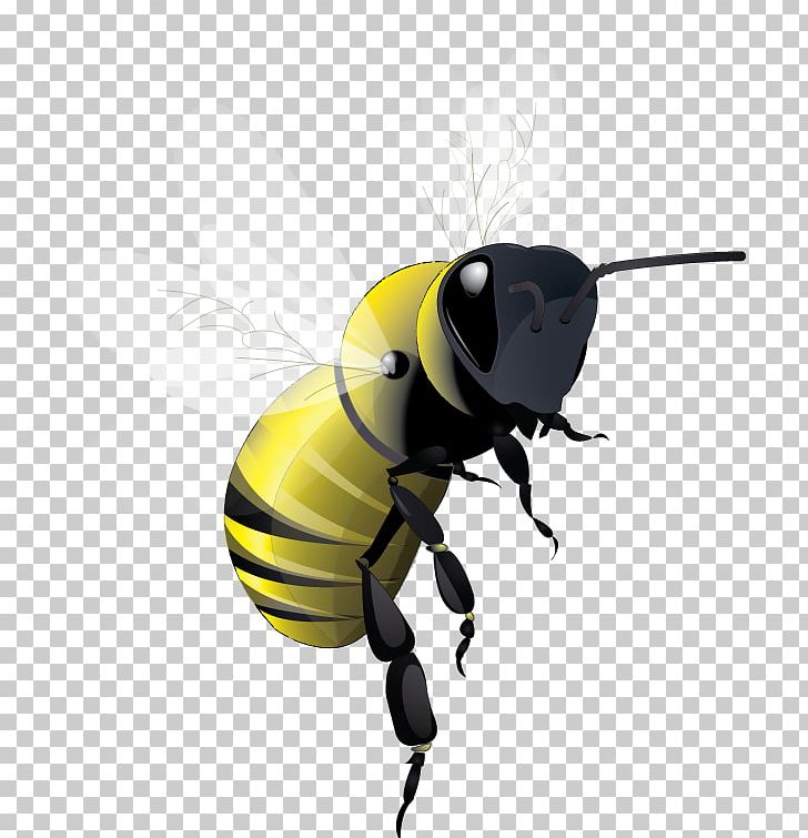 Honey Bee PNG, Clipart, Arthropod, Bee, Fly, Flying Bee, Honey Bee Free PNG Download