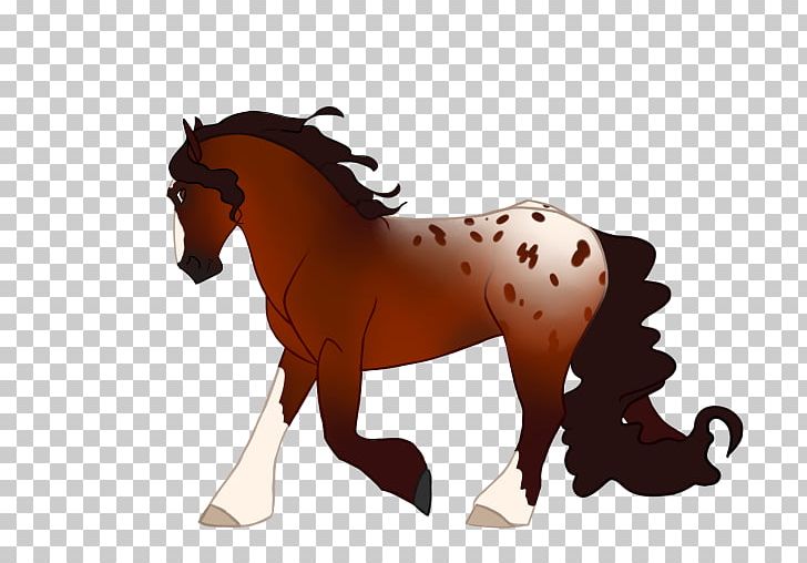 Mane Mustang Pony Stallion Halter PNG, Clipart,  Free PNG Download