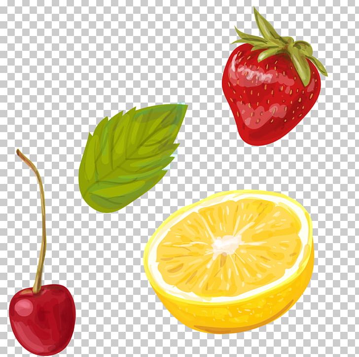 Sangria Cocktail Lemonade Illustration PNG, Clipart, Bottle, Cartoon, Color, Diet, Food Free PNG Download