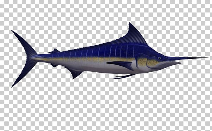 Swordfish Marlin Fishing PNG, Clipart, Animals, Atlantic Blue Marlin, Biggame Fishing, Billfish, Bony Fish Free PNG Download