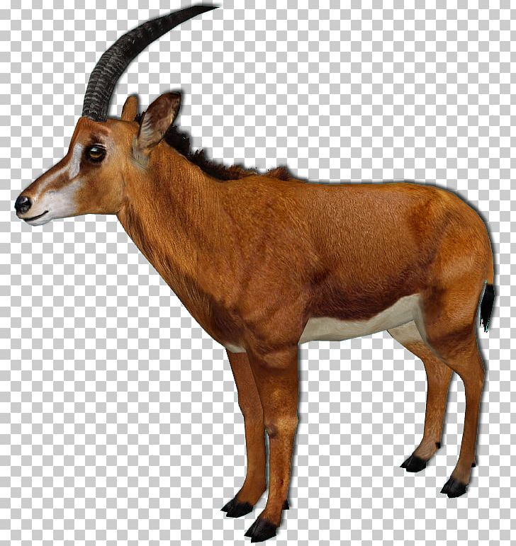 Impala Zoo Tycoon 2: Endangered Species Antelope Waterbuck Zoo Tycoon 2: African Adventure PNG, Clipart, Animal, Architect, California Sea Lion, Cow Goat Family, Fauna Free PNG Download