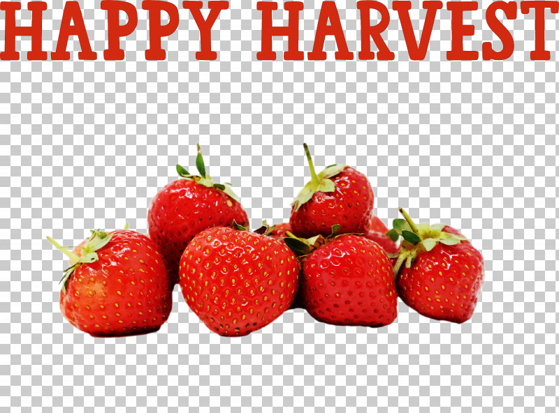 Happy Harvest Harvest Time PNG, Clipart, Coffee, Cooking, Egg, Fruit, Happy Harvest Free PNG Download