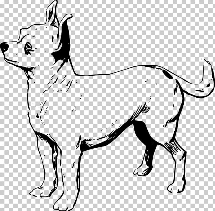 Chihuahua Shih Tzu Puppy Drawing PNG, Clipart, Animals, Artwork, Black And White, Carnivoran, Chihuahua Free PNG Download