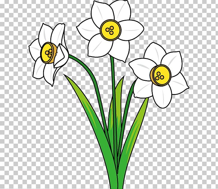 Daffodil Flower PNG, Clipart, Artwork, Black And White, Blog, Can Stock Photo, Cut Flowers Free PNG Download