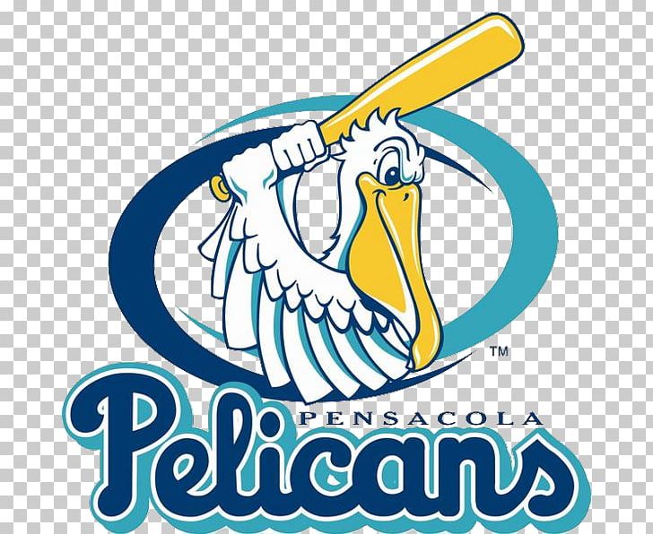 Pensacola Pelicans New Orleans Pelicans Pensacola Blue Wahoos Logo PNG, Clipart, Area, Artwork, Baseball, Beak, Brand Free PNG Download