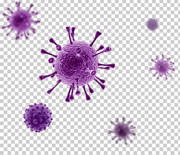 Virus Stock Photography Disease 3D Rendering PNG, Clipart, 3d Computer Graphics, 3d Rendering, Bacteria, Coli, Disease Free PNG Download