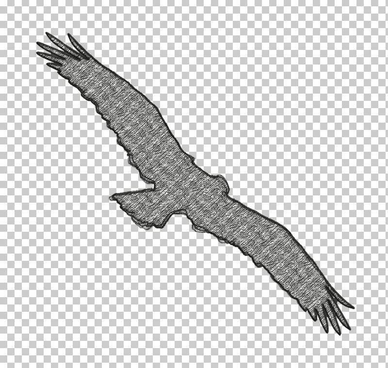 Bird Osprey Shape Icon Bird Icon Animal Kingdom Icon PNG, Clipart, Angle, Animal Kingdom Icon, Animals Icon, Bald Eagle, Beak Free PNG Download