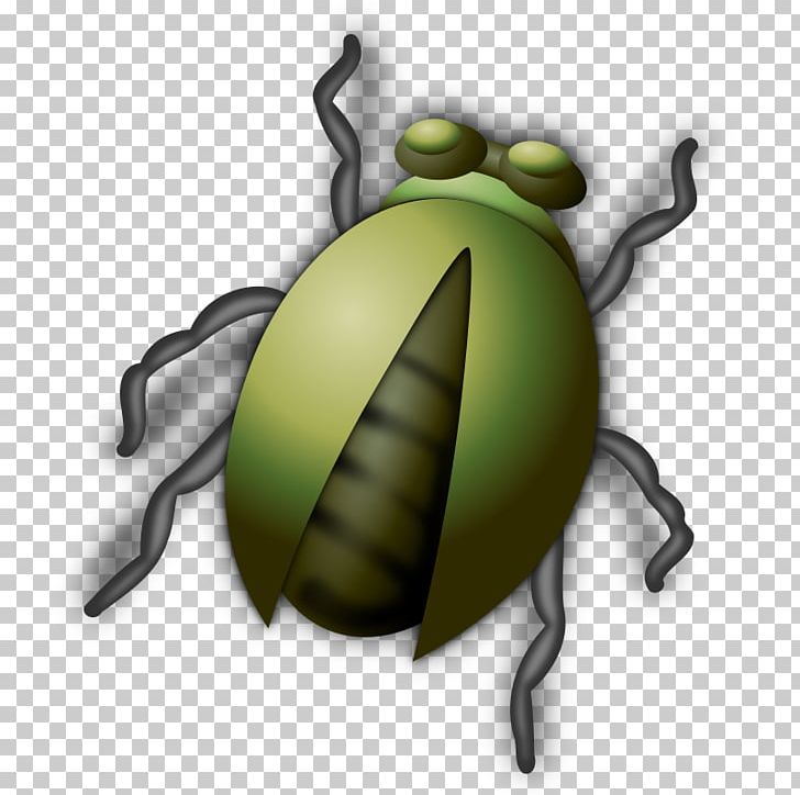 Beetle Free Content PNG, Clipart, Arthropod, Bee, Beetle, Bugs, Computer Icons Free PNG Download