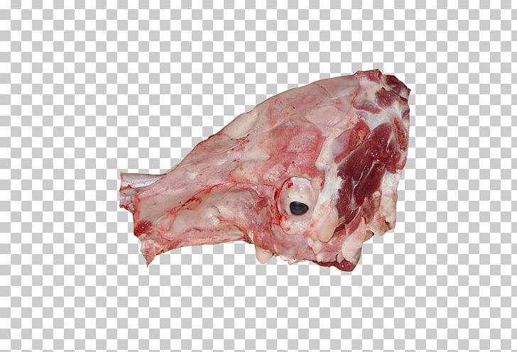Domestic Pig Red Cooking Cantonese Cuisine Hot Pot Bone PNG, Clipart, Animal Fat, Animal Source Foods, Beef, Big Bones, Boil Free PNG Download