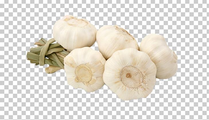 Garlic World Food Vegetable Allicin PNG, Clipart, Alli, Aroma, Black Garlic, Cartoon Garlic, Chili Garlic Free PNG Download