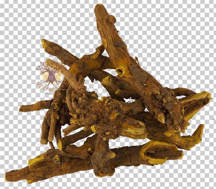 Scutellaria Baicalensis Root Bark Mints Herbaceous Plant PNG, Clipart, Bark, Common Comfrey, Dianhong, Herbaceous Plant, Hojicha Free PNG Download