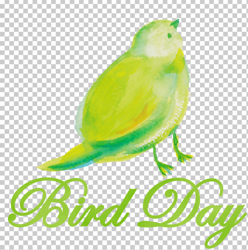 Vila Bali Kaya Tuban Parakeet Beak Tuban Sub-district Biology PNG, Clipart, Beak, Biology, Bird Day, National Bird Day, Paint Free PNG Download