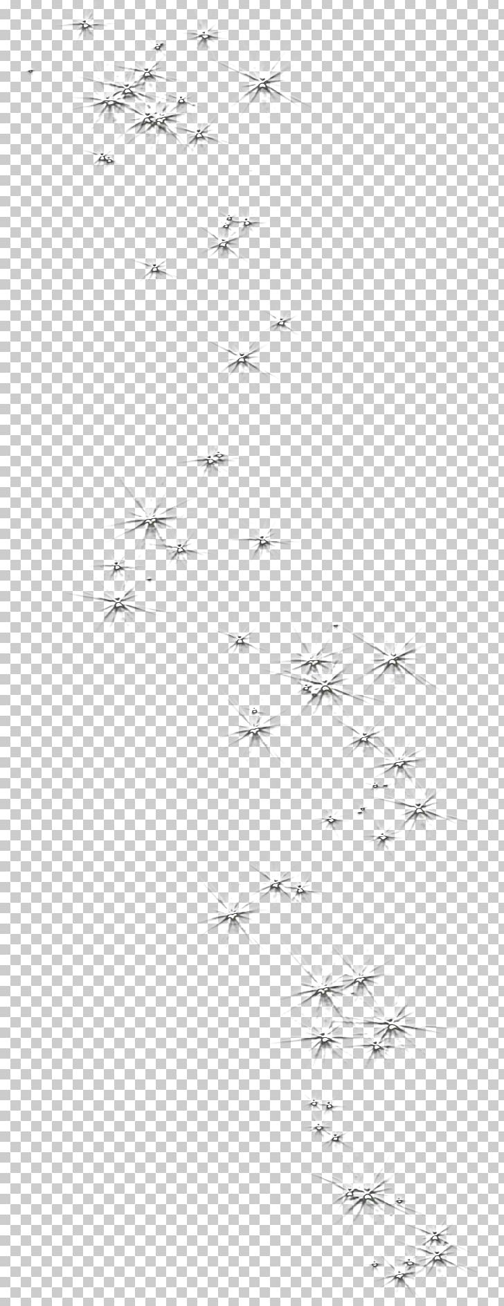 Bird /m/02csf Drawing Point Angle PNG, Clipart, Angle, Animals, Area, Bird, Black Free PNG Download