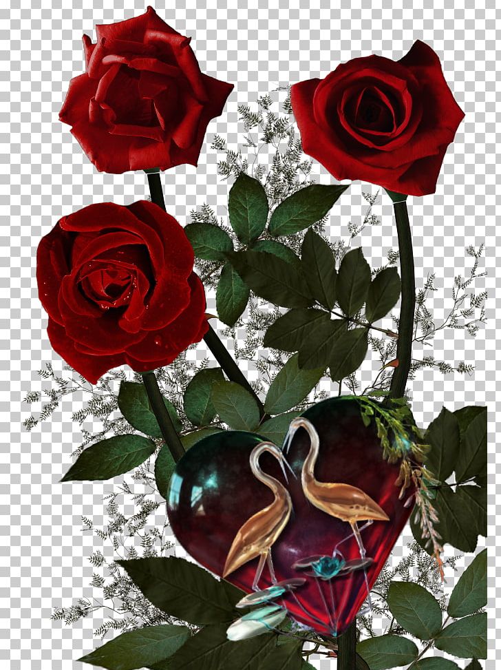 Garden Roses Flower Roses PNG, Clipart, Cut Flowers, Digital Image, Floral Design, Floribunda, Floristry Free PNG Download