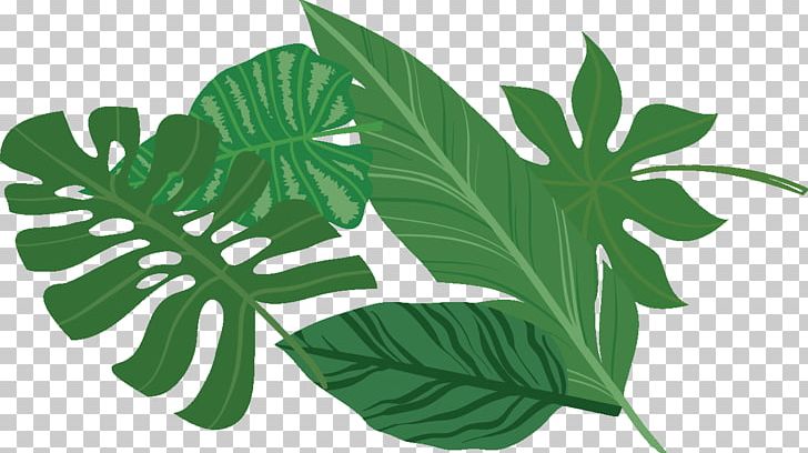 Herb Food Leaf Vegetable Gift PNG, Clipart, Drink, Flower, Food, Gift, Gift Card Free PNG Download