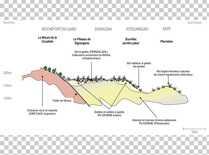 Signargues Châteauneuf-du-Pape AOC Côtes Du Rhône AOC Årlig Omkostning I Procent PNG, Clipart, Angle, Area, City, Diagram, Ecoregion Free PNG Download