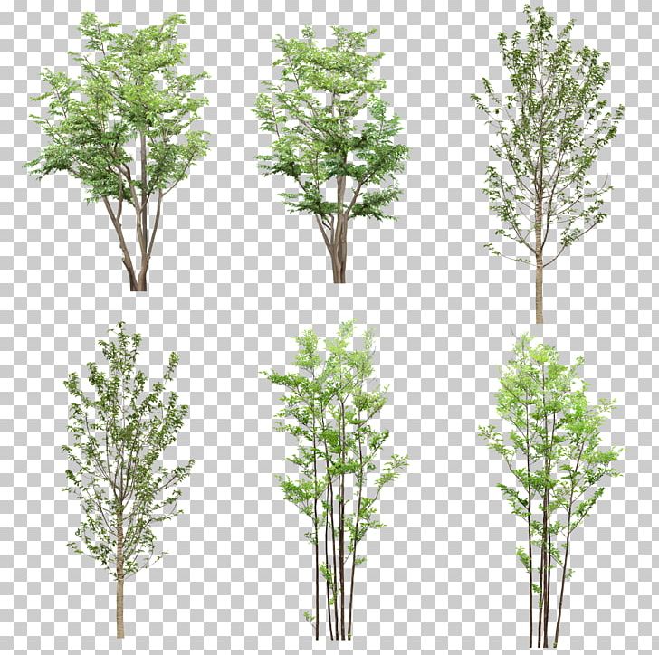 Tree Resource Computer File PNG, Clipart, Background, Background Material, Branch, Computer File, Creative Free PNG Download