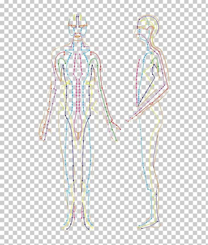 Meridian Acupuncture Human Body Qi Traditional Chinese Medicine PNG, Clipart, Abdomen, Acupressure, Angle, Arm, Fashion Design Free PNG Download