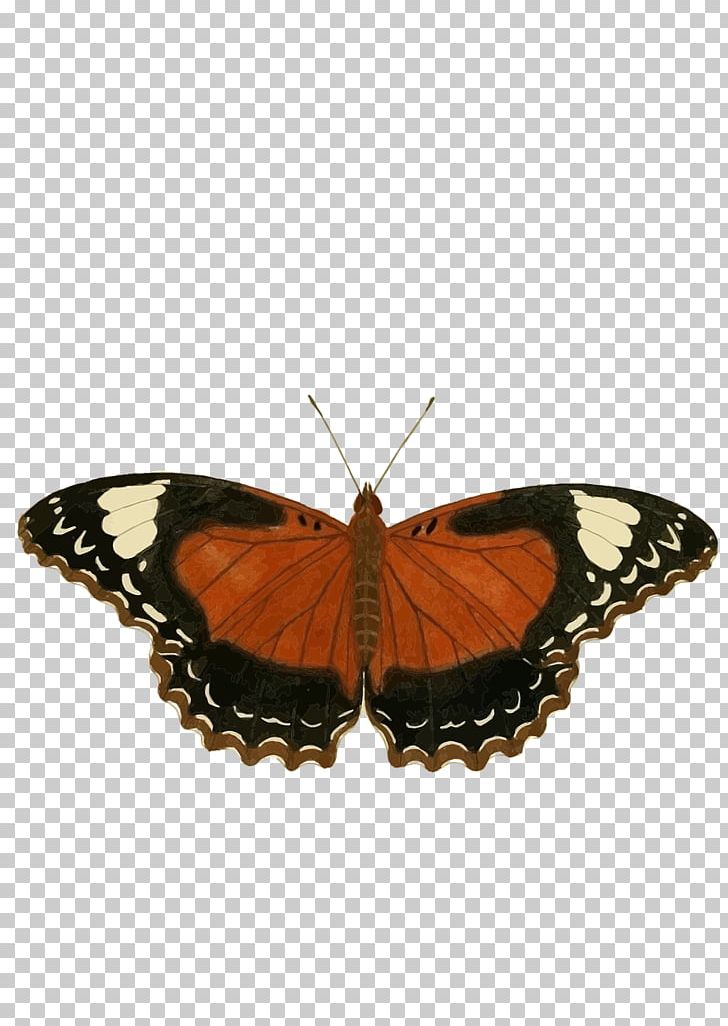 Monarch Butterfly Insect PNG, Clipart, Arthropod, Brush Footed Butterfly, Butterfly, Computer Font, Computer Icons Free PNG Download
