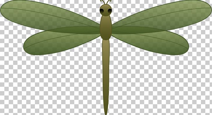 Scalable Graphics PNG, Clipart, Animation, Cartoon, Dragonfly, Dragonfly Cliparts, Drawing Free PNG Download