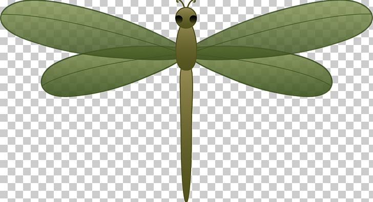 Scalable Graphics PNG, Clipart, Animation, Cartoon, Dragonfly ...