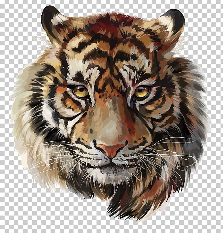 Tiger Watercolor Painting Drawing PNG, Clipart, Animals, Art, Big Cat, Big Cats, Carnivoran Free PNG Download
