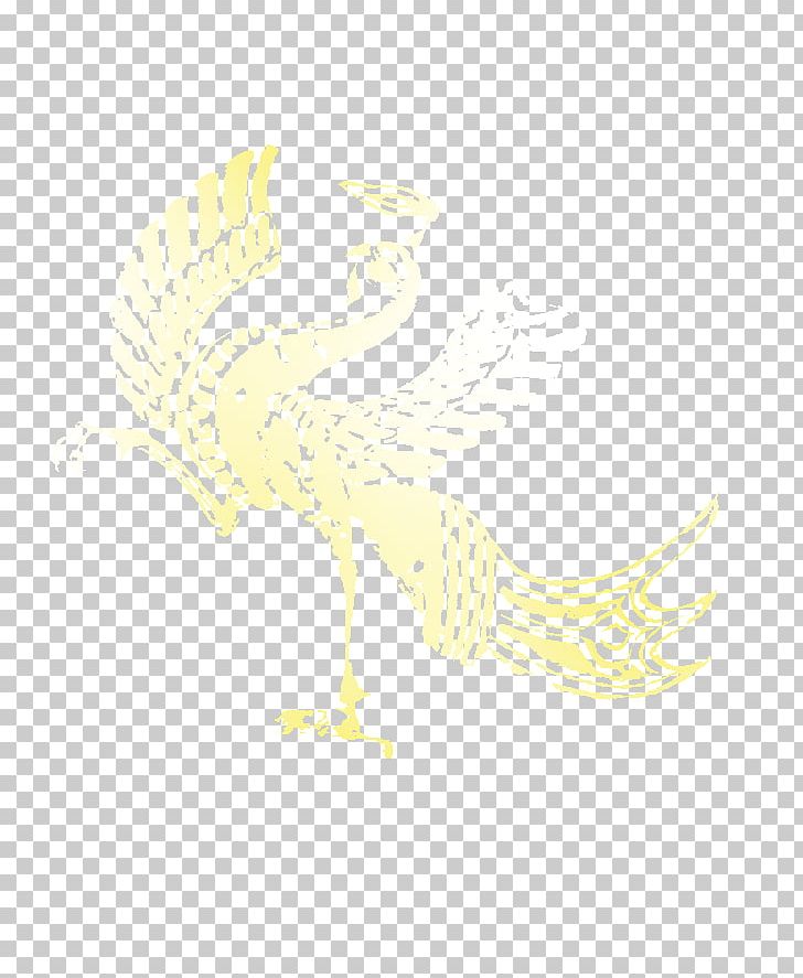 Area Pattern PNG, Clipart, Angle, Beak, Creative, Dragon And Phoenix, Dragon Phoenix Free PNG Download