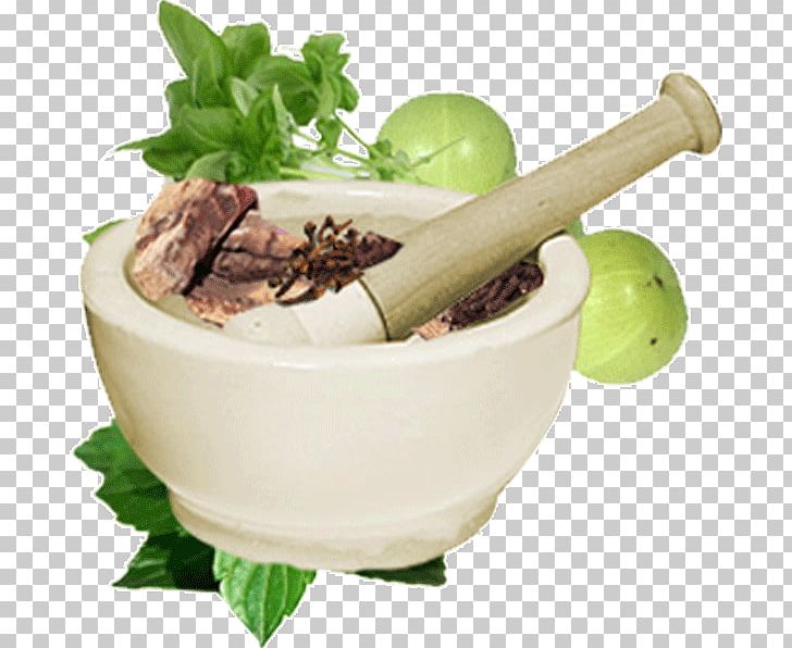 Ayurveda Medicine Physician Therapy Alternative Health Services PNG, Clipart, Alt, Alternative Health Services, Ayurveda, Central Council Of Indian Medicine, Charaka Free PNG Download