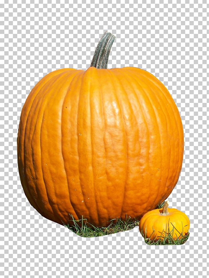 Calabaza Cucurbita Pumpkin Gourd Winter Squash PNG, Clipart, Calabaza, Carving, Commodity, Cucumber, Cucumber Gourd And Melon Family Free PNG Download