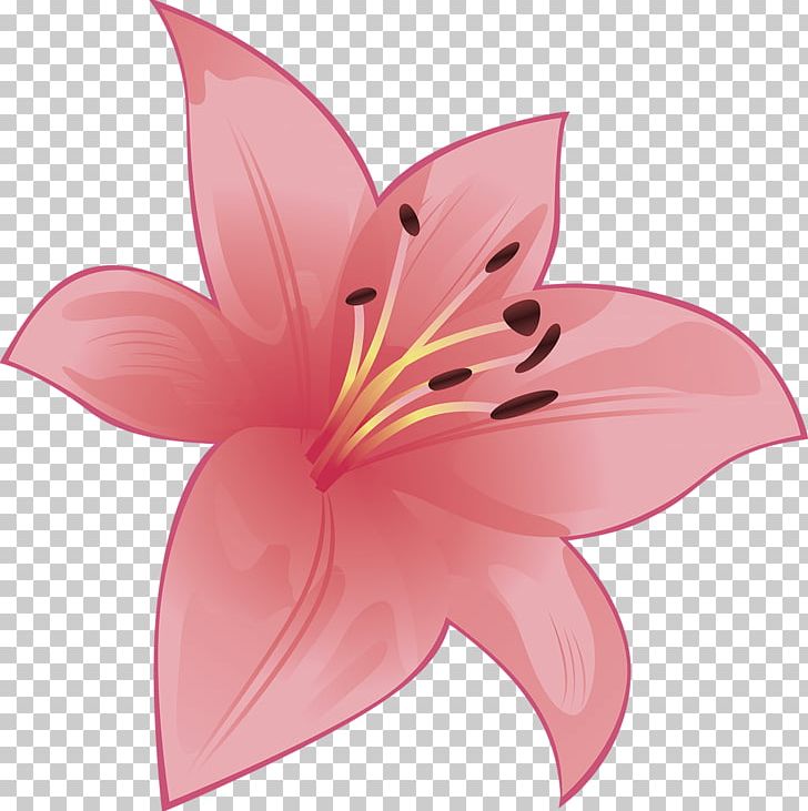 Cut Flowers Flowering Plant Petal PNG, Clipart, Cut Flowers, Flora, Flower, Flowering Plant, Lily Free PNG Download