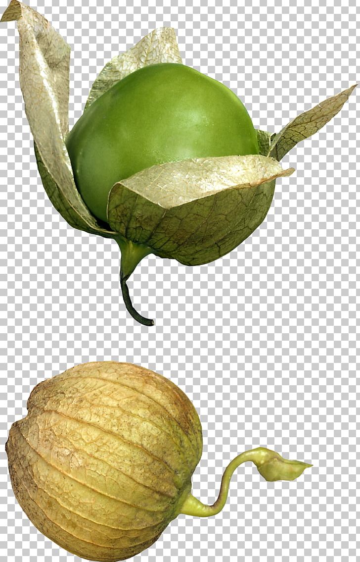 Tomatillo Mexican Cuisine Vegetable Food Fruit PNG, Clipart, Berry, Commodity, Cuisine, Food, Food Craving Free PNG Download
