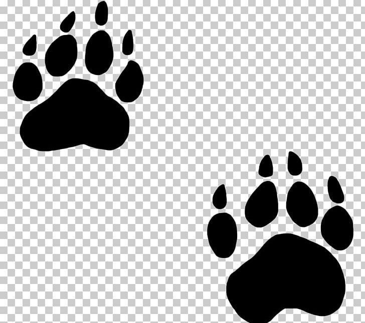 Bear Paw Dog Cat PNG, Clipart, American Black Bear, Animal, Animal Footprints Cliparts, Bear, Bear Paw Free PNG Download
